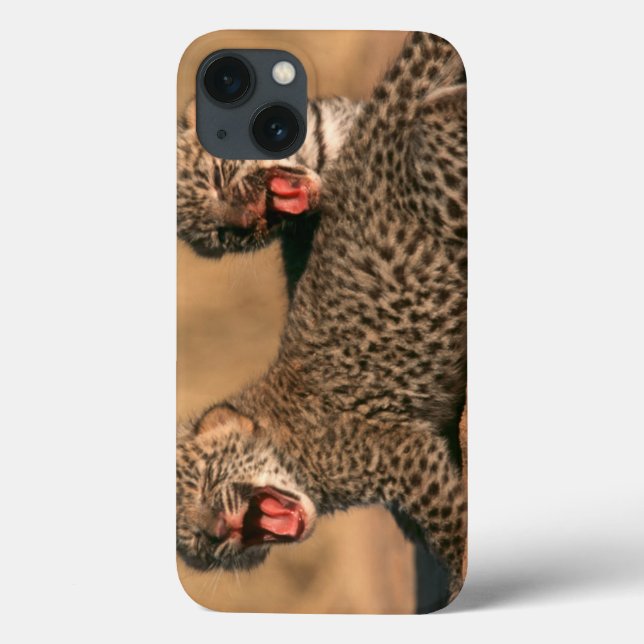 Närbild av den nyfödda leoparden (pantheraen (Baksida)