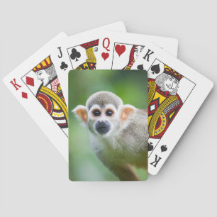 Närbild av en allmänningekorreapa spel kort