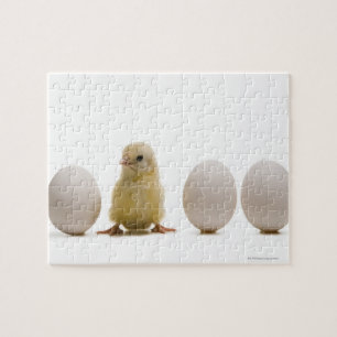 Närbild av en bebischick med tre ägg pussel
