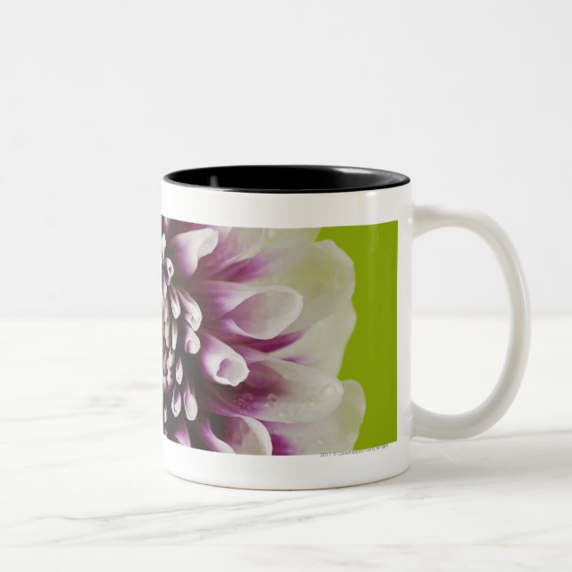 Närbild av en blomma 2 Två-Tonad mugg (Höger)