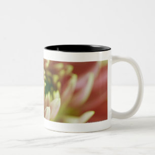 Närbild av en blomma Två-Tonad mugg