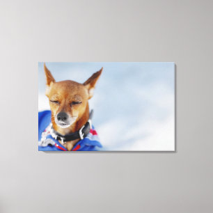 Närbild av en hund 2 canvastryck