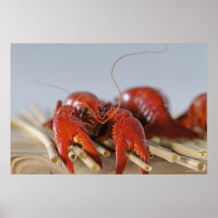Närbild av en krabba på pinnar poster