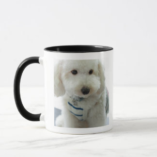 Närbild av en miniatyrpudel mugg