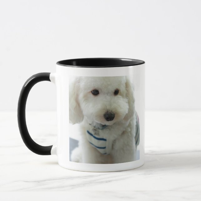 Närbild av en miniatyrpudel mugg (Vänster)
