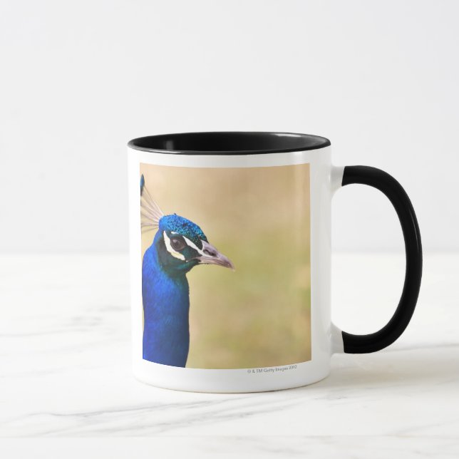 Närbild av en påfågel 2 mugg (Höger)