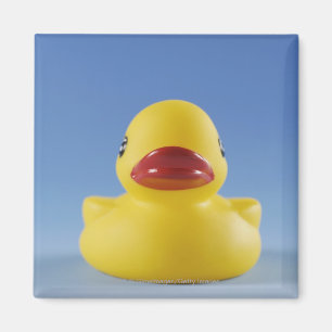 Närbild av en rubber anka magnet