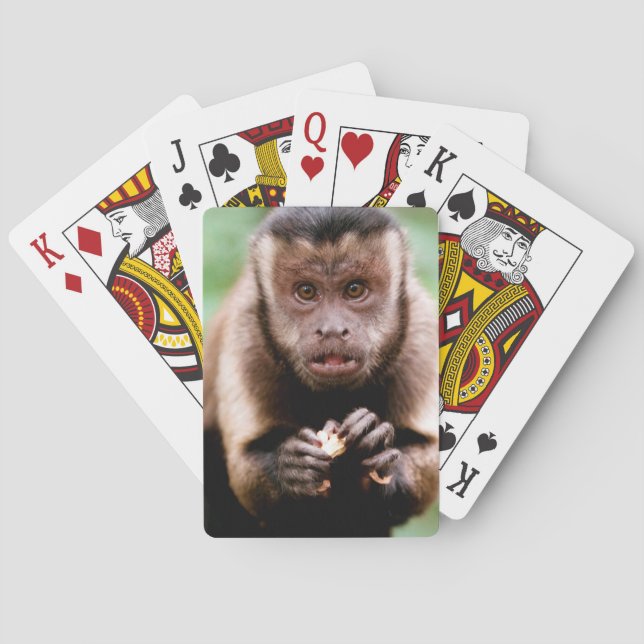 Närbild av encapped capuchinapa spel kort (Baksidan)