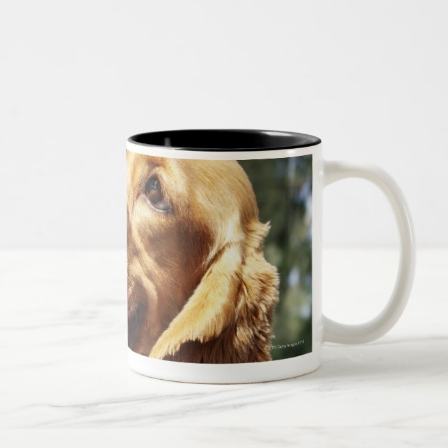 Närbild av ett äpple framme av en hund Två-Tonad mugg (Höger)