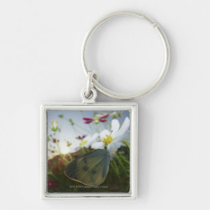 Närbild av fjärilen på blomma fyrkantig silverfärgad nyckelring