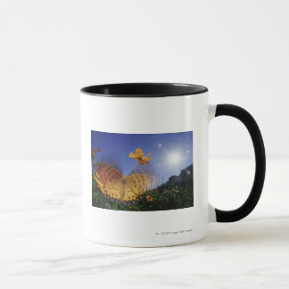 Närbild av fjärilen som flapping vingar mugg