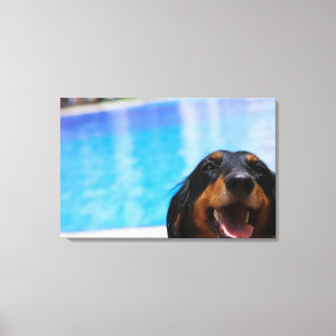 Närbild av flåsa för taxhund canvastryck