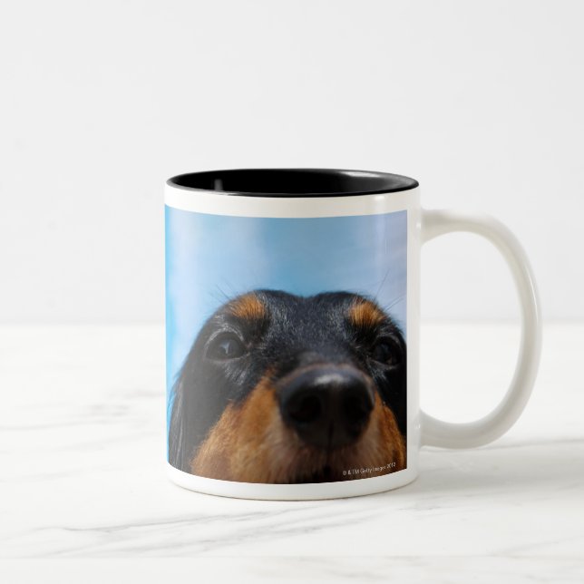 Närbild av flåsa för taxhund Två-Tonad mugg (Höger)
