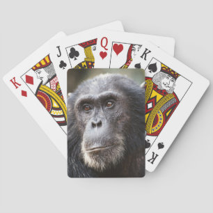 Närbild av han-chimpans spelkort