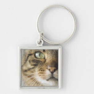 Närbild av katten (fokusera på öga), fyrkantig silverfärgad nyckelring