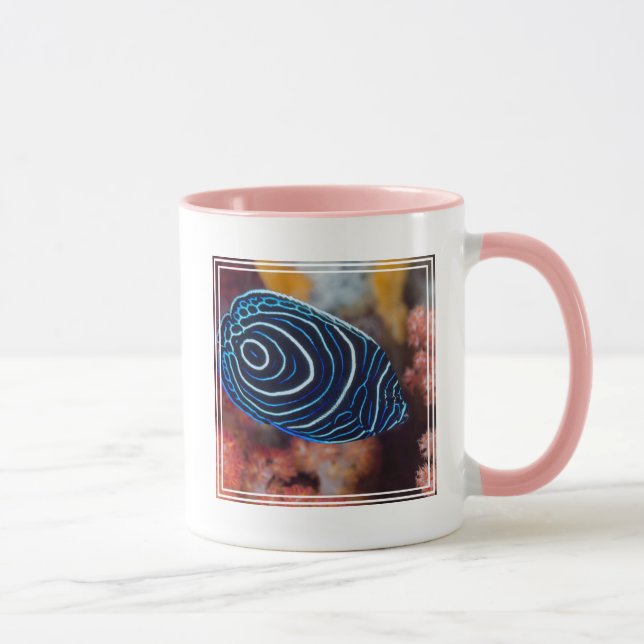 Närbild av kejsarängfisk mugg (Höger)