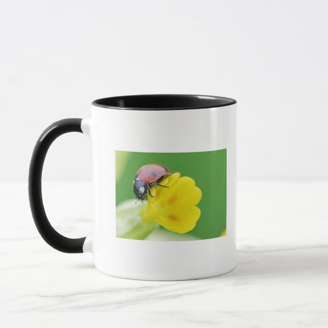 Närbild av nyckelpigan mugg (Vänster)