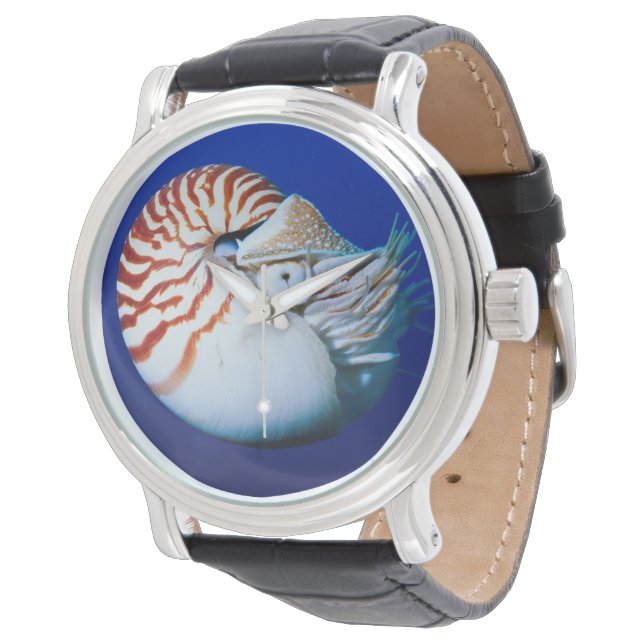 Närbild av pärlbåtsnäcka armbandsur (Vinklad)