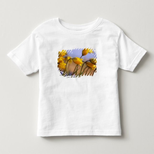 Närbild av påskliljar t-shirt (Framsida)