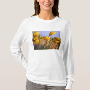 Närbild av påskliljar tee shirt