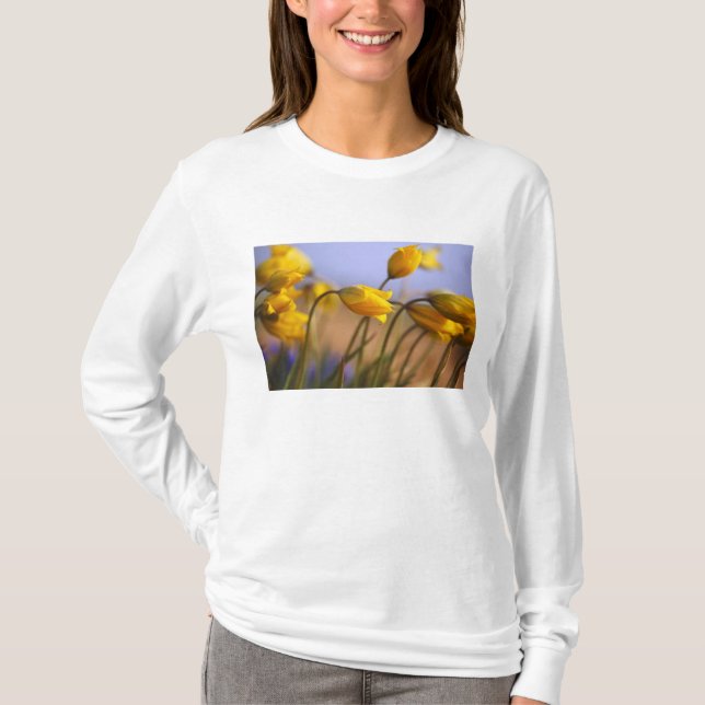 Närbild av påskliljar tee shirt (Framsida)
