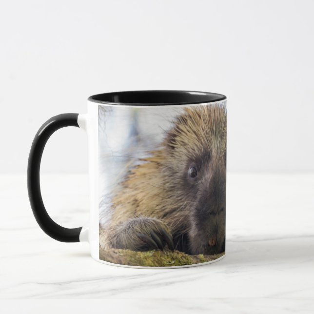 Närbild av piggsvin i ett träd mugg (Vänster)