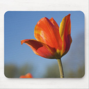 Närbild av tulpanblommor musmatta