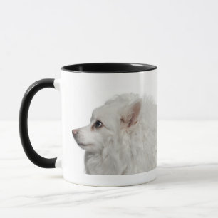 Närbild för Keeshond (10 gammala år) Mugg