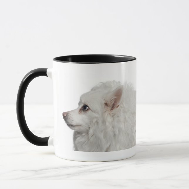 Närbild för Keeshond (10 gammala år) Mugg (Vänster)