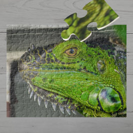 Närbild Fotografering av Grön Iguana Pussel