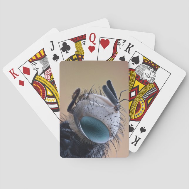 Närbild Insekt Bug Huvud Casinokort (Baksidan)