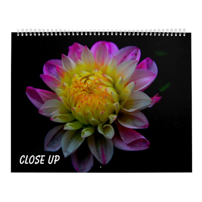 Närbild Kalender (Omslag)