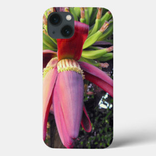 Närbild på bananblomma