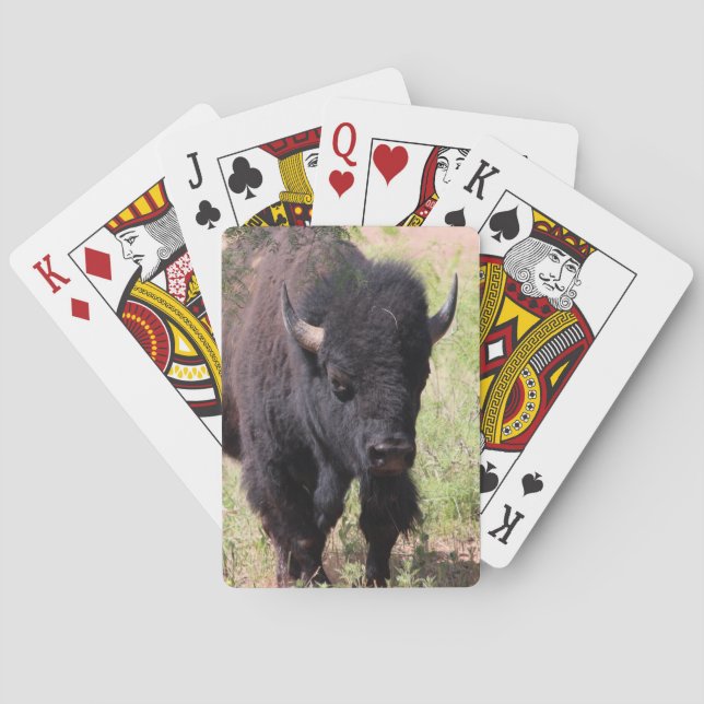 Närbild på bison casinokort (Baksidan)