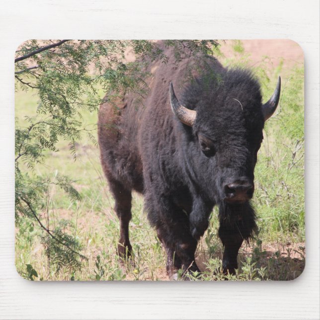 Närbild på Bison Musmatta (Framsidan)