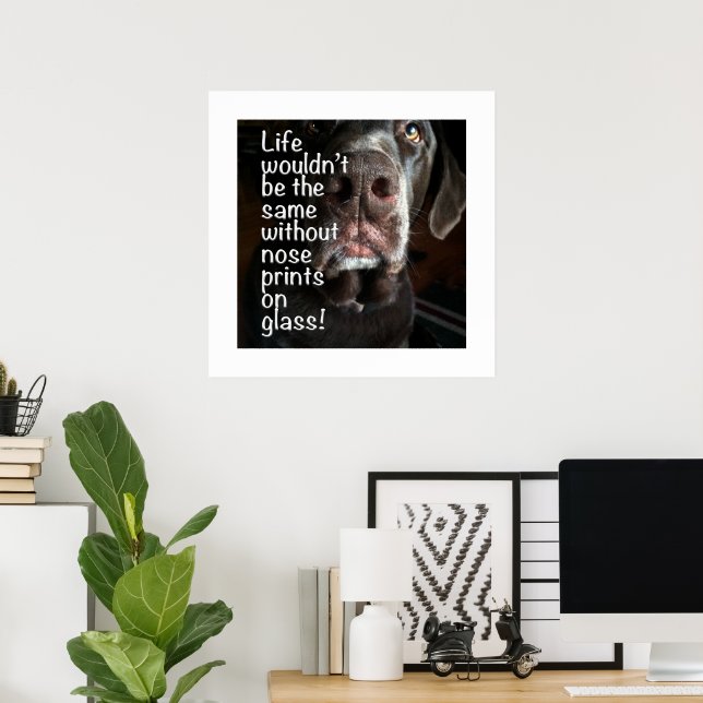Närbild på chokladlabradors näsa poster (Hemmakontoret)