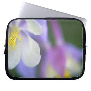 Närbild på Colorado Columbine-blomma. Laptop Fodral