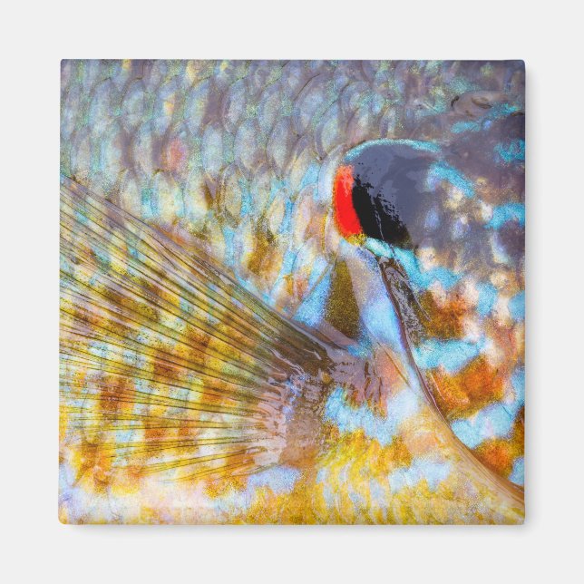 Närbild på fiskfjäll magnet (Framsidan)