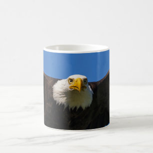 Närbild på flygande havsörn kaffemugg