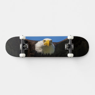 Närbild på flygande havsörn mini skateboard bräda 18,5 cm