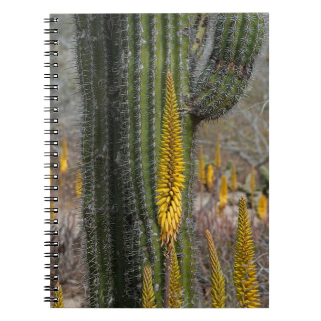 Närbild på kaktus och agave anteckningsbok (Framsidan)