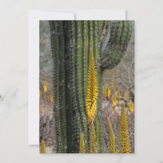 Närbild på kaktus och agave tack kort (Framsida)