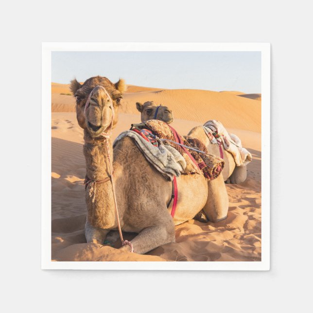 Närbild på kamel i Omandesertenen Pappersservett (Framsidan)