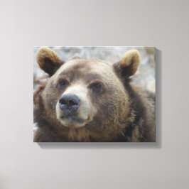 Närbild på Kodiakbjörn Canvastryck