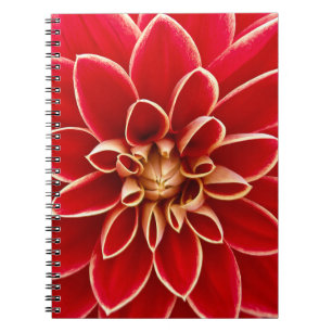 Närbild på ljusröd Dahlia-blomma Anteckningsbok