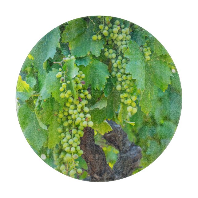 Närbild på mogna vindruvor (Framsidan)