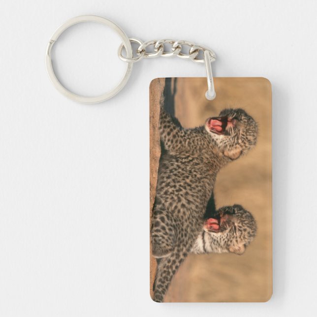 Närbild på nyfödd leopard (Panthera Pardus) (Framsidan)