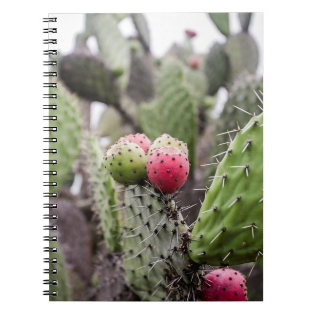 Närbild på Opuntia Anteckningsbok (Framsidan)