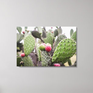 Närbild på Opuntia Canvastryck