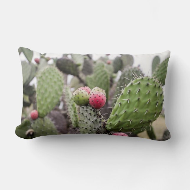 Närbild på Opuntia Lumbarkudde (Framsida)